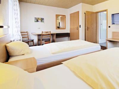 Hotel Victoria Вайль-на-Рейне Экстерьер фото